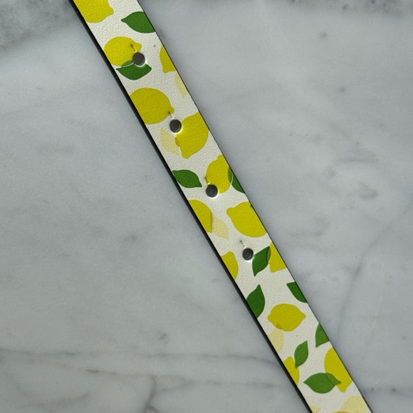 Kate Spade Belt NWOT - Picture 8 of 12